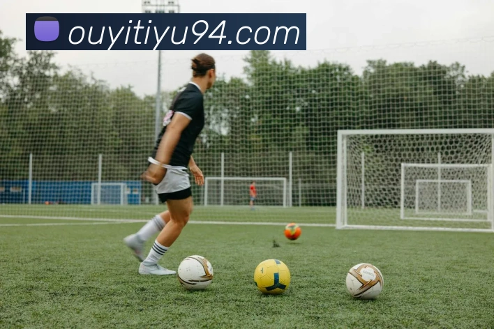 欧亿体育平台生态图